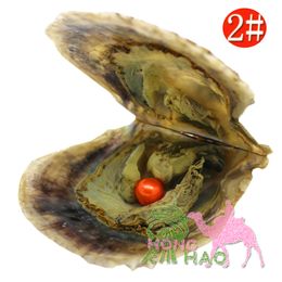 Wholesale 7-8mm round akoya seawater pearl oyster pearls with vacuum packaging pearl oysters