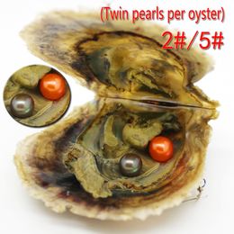 Wholesale cheap freshwater pearl party 6-7mm4A round akoya pearl and twins oyster with vacuum pack seal