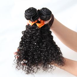 Unprocessed Human Hair Weave Bundles Hair Extension 200g kinky curly virgin hair Natural Black brazilian curly virgin weave