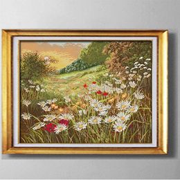 Daisy Beautiful Flowers , DIY handmade Cross Stitch Needlework Sets Embroidery kits paintings counted printed on canvas DMC 14CT /11CT