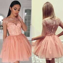 Peach Lace Little Party Dress With Sleeves Bead Dresses Evening Wear Bateau Vestidos Festa Plus Size