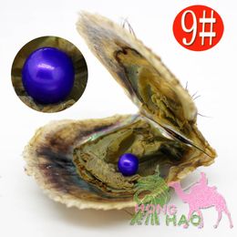 Wholesale 6-7mm color #9 vacuum packed oysters akoya pearl oyster saltwater pearl oyster many colours stock