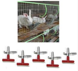 Rabbits Drinker Online Shopping Rabbits Drinker For Sale