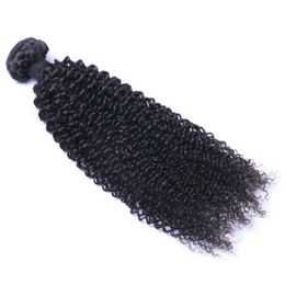 Peruvian Virgin Human Afro Kinky Curly Unprocessed Remy Hair Weaves Double Wefts 100g/Bundle 1bundle/lot Can be Dyed Bleached