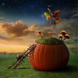 Vinyl Art Fabric Halloween Backdrops for Photography Night Sky Stars Snail on Ladder Big Pumpkin Children Studio Photo Background Fairy Tale