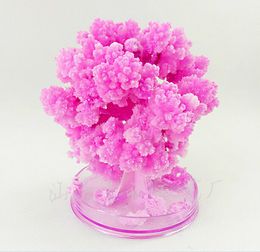 iWish 2017 Artificial Magic Grow Sakura Paper Trees Magical Christmas Growing Tree Desktop Cherry Blossom Kids New Toys For Children 100PCS