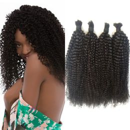 Peruvian Human Hair Bulk No Weft Afro Kinky Curly Natural Colour Bulk Hair 4 Bundles for African American FDSHINE