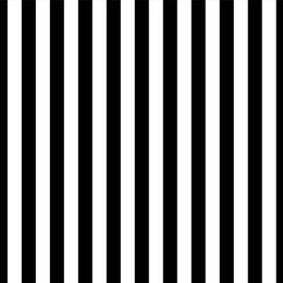 Black and White Striped Backdrop for Photography Vertical Stripes Studio Photo Booth Background Vinyl Photographic Wallpaper