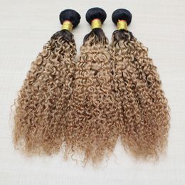 1b 27 hair UK - Jerry Curly Ombre Hair Extensions Brazilian Body Wave Human Hair Weaves Two Tone Weft 1B 27 1B 30 Loose Wave Peruvian Hair Bundles