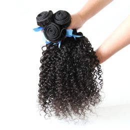 Malaysian kinky curly hair human hair bundles curly 300g 3pcs human hair bundles