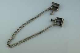 Metal Silver Adult BDSM Bondage Sex Toys Dripping leaves Clamps Clips Withs Breast Ring with Chain Fetish For Women RX-0035