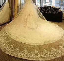 Luxury Ivory 3M Long Rhinestones Cathedral Wedding Veils With Lace Applique Trim Crystals One Layer Custom Made Tulle Sequined Bridal Veil