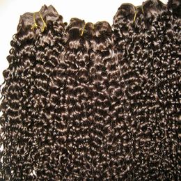 1 piece cheapest Indian Kinky curly human hair 100g bundle hair weft lovely texture