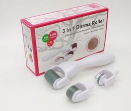 3 in 1 Derma roller Stainless Titanium Alloy needles DRS Derma Roller With 3 head(180+600+1200needles) Derma roller Kit for acne removal