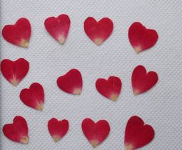 diy flower press Canada - 250pcs Pressed Press Dried Heart Rose Petal Flower Plants For Epoxy Resin Pendant Necklace Jewelry Making Craft DIY Accessories
