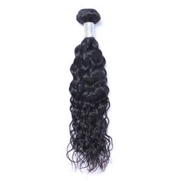 Brazilian Virgin Human Hair Natural Wave Water Wave Unprocessed Remy Hair Weaves Double Wefts 100g/Bundle 1bundle/lot Can be Dyed Bleached