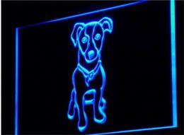 Jack Russell Terrier Pet Shop beer bar 3d signs culb pub led neon light sign home decor crafts