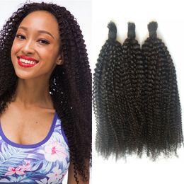 Cambodian Afro Kinky Human Hair Bulk 3 Bundles Natural Color Curly Braiding Hair Bulk For Black Women FDSHINE