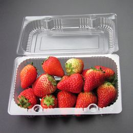 Transparent Disposable Plastic Bread Cake Box Fruit Sushi Boxes Food Storage Containers With Lids