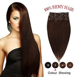 ELIBESS Clip In On Hair Extensions Virgin Human Hair Dark Brown Full Head 8pcs Set 100g Remy Human Hair