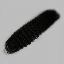 Micro bead extensions Hair extensions remy indian loop 100g unprocessed indian hair kinky curly micro loop hair extensions