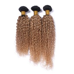 Ombre Blonde Human Hair Weave Brazilian Virgin Hair Deep Curly Hair Extension 3 Bundle Two Tone Color T1B/27 Curly Bundles Wholesale Price