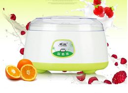 Electric Automatic Yoghourt Maker High Quality Stainless Steel Liner Yoghourt Machine Acidophilus Sour Cream Natto Maker
