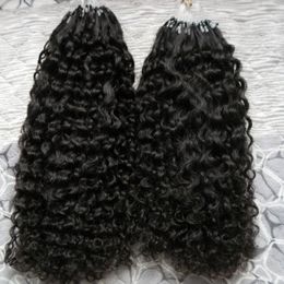 Afro kinky curly micro link human hair extensions black 200g brazilian kinky curly micro loop hair extensions 200s