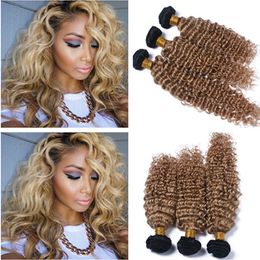 Deep Wave Honey Blonde Ombre Brazilian Human Hair Bundles 3Pcs Two Tone 1B/27 Light Brown Ombre Virgin Remy Human Hair Wefts Extensions