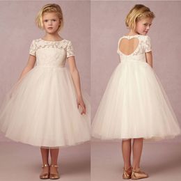 Cheap Ivory Lace Ball Gown Flower Girl Dresses For Weddings Backless Little Girls Pageant Dress Short Sleeves Tulle First Communion Gowns