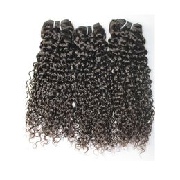 Brazilian Hair Brazilian Indian Malaysain Peruvian Jerry curly with Closure Brazillian weave bundles 100% Human hair free shipping