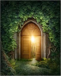 Sunshine Through Vintage Wooden Door Green Leaves Wall Fairy Tale Backgrounds Children Newborn Baby Photo Props Spring Scenic Backdrop 5x7ft