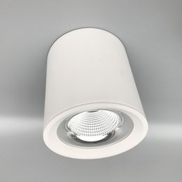 LED Cylinder Ceiling Down Light COB Suspended Pendant Spotlights Surface Mounted LED Lighting Fixtures For Home 20W 30W