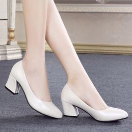 Super Soft & Flexible Pumps Shoes Women Clasiscal OL Pumps Spring Mid Heels Office Comfortable Shoe Formal Dress Shoes Size 34-41