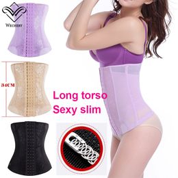 Waist Trainer Body Shaper Tummy Modelling Strap Waist Straps Slimming Belt Fitness Belly Slimming Sheath Waist Cinchers Plus Size Shapewear