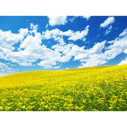 Country Style Wedding Photography Backdrops Yellow Flowers White Clouds Blue Sky Outdoor Scenic Photo Shoot Backgrounds for Studio