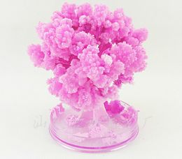 iWish 2017 Visual Magical Artificial Sakura Paper Trees Christmas Growing Tree Desktop Cherry Blossom Magic Kids Toys Japanese Gifts 5PCS