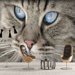 Cat Wallpapers For Home Wall Canada Best Selling Cat Wallpapers