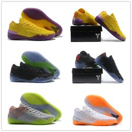 scarpe kobe 6 uomo online