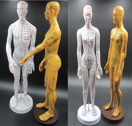 hot mannequins Canada - New Style Human Acupoint Mannequin Hot Sale Female&Male Mannequin Made In China