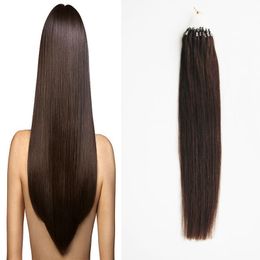 Brazilian Micro Loop Ring Extension Remy Hair Coloured Hair Locks 10"-26''Micro Bead Hair Extensions 1g/strand 100g