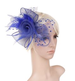 Bridal veil headwear new feather net Party dress headwear two rose hoops 6 Colours 2018 new