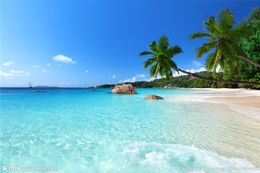 Wholesale Beach Weddings Europe Buy Cheap Beach Weddings Europe