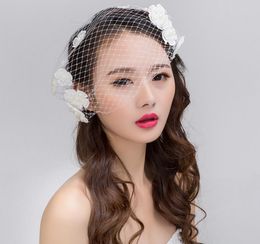 New bride veil, handmade white lace, pearl headwear, bridal dress accessories