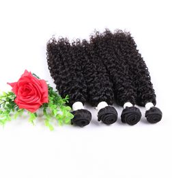 indian curly hair jerry kinky curly virgin hair tight weave 3pieces human hair bundles free dhl