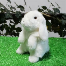 cute bunny plush doll toy simulation animals white rabbit doll lop ear rabbit doll for boys girls birthday gift 19cm 7.5inch DY50352