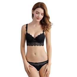 Women's 2 PCS Lace Bra and Panty Set Comfort Fine Fabric Sexy Lingerie Push up Embroidery Lace Bra & Panty