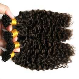 Mongolian Kinky Curly Hair I Tip Hair Extension 200g/strands afro kinky curly Prebonded Human Hair Extensions #2 Darkest Brown