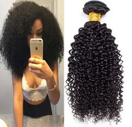 Factory Price ! Brazilian Hair Kinky Curly hair Bundles with Lace Closure 100% Human Hair weft NO tangle&shedding