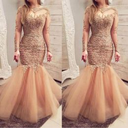 Illusion Long Sleeves Evening Dresses Sexy Sheer Neckline Lace Appliques Mermaid Prom Dress Long Tulle Zipper Back Formal Party Gowns